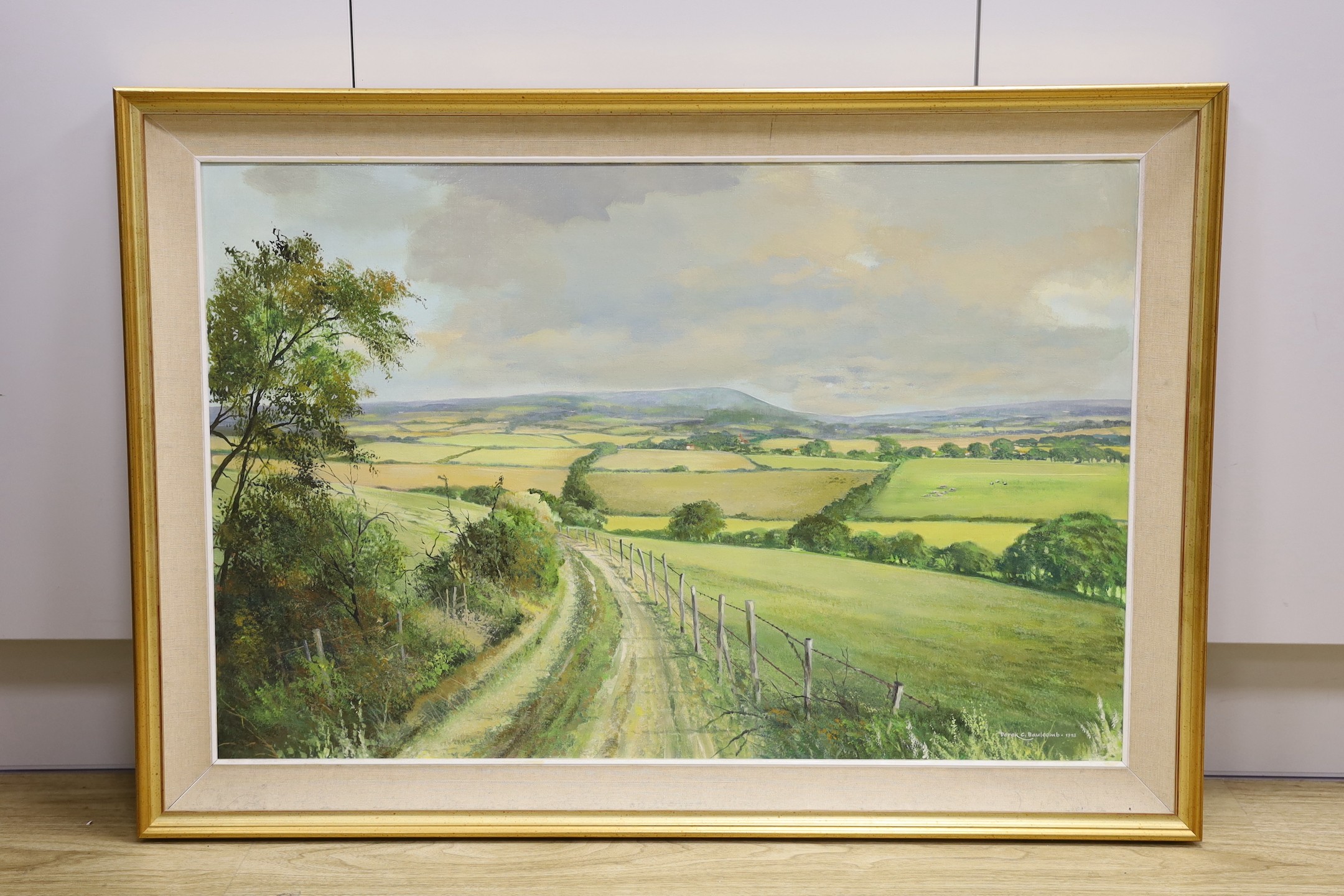 Derek C. Baulcomb (d.2020), oil on canvas, 'Wilmington', signed and dated 1993, 50 x 75cm